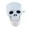Relógio de Dentes Saltitantes Brinquedo de Corda Dentes Saltitantes Dentes de Fantasma Vampiro Halloween Natal Pequeno Presente Brinquedo de Corda
