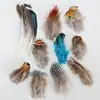 Venda Direta de Fábrica de Quase 100 Tipos de Acessórios Naturais de Penas Pequenas para Joias DIY, Acessórios de Cabeça, Broches, Chapéus, Materiais de Decoração para Artesanato