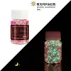 Polvo de Lentejuelas Luminosas con Brillo Transfronterizo 12 Colores Mezclados Polvo de Brillo Fluorescente Pegamento Flujo de Cáñamo DIY Lentejuelas Luminosas para Uñas