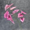 Película 3D Simulada Lluvia de Primavera Hojas Boda Decoración del Hogar Arreglo Plantas Verdes Hojas de Cala Adornos de Flores Artificiales Transfronterizos Venta al por Mayor