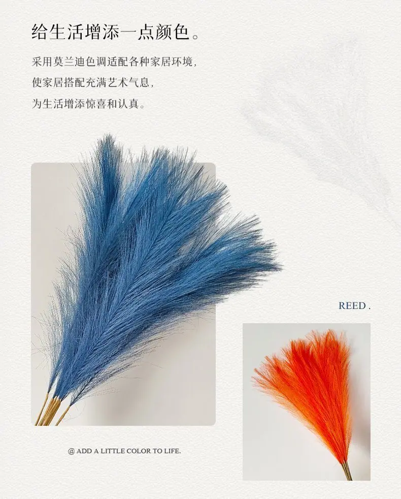 微信图片_20250917141208_19_111