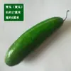 Verduras Simuladas Pimiento Tomate Berenjena Rábano Papa Modelo Accesorios de Fotografía Gabinete de Jardín de Infancia Decoración de Centro Comercial