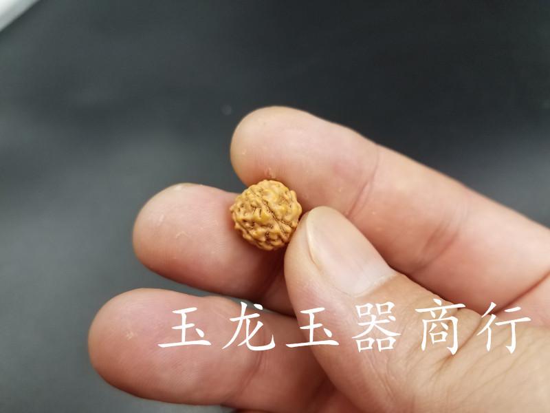 20180909_132243.jpg