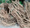 Videira de Árvore de Rattan Videira Seca sobre o Rio Videira da Montanha Velha Videira de Árvore Velha Videira em Forma de Videira Videira Decorativa Tubo de Habitat para Animais de Estimação Videira