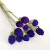 Ins Decoración al por Mayor Algodón Nomeolvides Natural Espigas de Trigo Ramo de Flores Secas Muebles para el Hogar Accesorios de Fotografía Frescos Pequeños