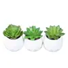 Mini simulación de flores carnosas en macetas, creativas, para bricolaje, para interiores, pequeñas decoraciones, flores de plástico, suministro de fabricantes ES1155-1