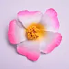 Clip para el Cabello de Flor de Hibisco Artificial de 9.5 cm, Adorno para la Cabeza, Flor de Plumeria Hawaiana de Eva, Estilo Bohemio, Más Vendido Transfronterizo