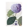 Retro americano planta de flor de hortênsia conhecimento de flores pintura em lata comércio exterior transfronteiriço bar sala de estar jardinagem pátio pintura decorativa
