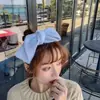 Bufanda Estilo Coreano para Mujer Invierno Pelo de Visón Sintético Engrosada Cálida para el Cuello Versión Estrecha Bufanda Pequeña Estudiante Combinable Decorativa Cinta