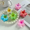 Horquilla de Frangipani Transfronteriza de 6 cm Celebridad de Internet Pinza de Flor de Gama Alta Pinza Elegante Pinza de Tiburón Adorno para el Cabello en la Parte Posterior de la Cabeza