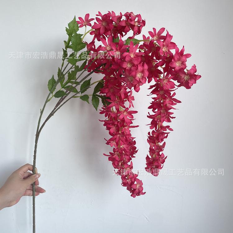 微信图片_202208241819532_副本