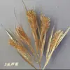 Simulação Flor de Ano Novo Flor Plástica Dourada Balde de Ano Novo Galhos Longos Palmeira Vermelha Hortênsia Palavra Fu Amor Flor de Ano Novo Atacado