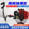 Recolector de aceitunas de gasolina de 2 tiempos tipo pértiga extensible cosechadora cosechadora vibratoria de gran altitud recolector de aceitunas