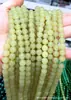 Colar de Corrente de Contas Brancas Yuqing Água Clara Natural de Jade Hetian Contas Redondas em Atacado Cordão Colar de Corda para Presente de Mãe