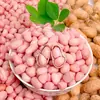 Delicias Caseras 2024 Cacahuates Nuevos 2.5kg Granel Cultivados en Granja Cacahuates Crudos Nanyang Cacahuates Secos 2.5kg Paquete de 1.5kg