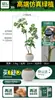 Pé de Pato Madeira Simulação Planta Verde Planta Falsa Alta Qualidade Sala de Estar Planta em Vaso Interior Grande Bonsai Biônico Hotel Decoração de Chão
