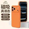 Capa Magnética de Silicone Líquido Espesso para Celular Apple 18PROMAX Tendência 17/16 Furos Precisos 15 Estilo Luxo Leve