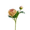 Simulación Flor de Peonía Borde Coca-Cola de 2 Cabezas Decoración para el Hogar Boda Peonía Blanca Flor de Seda Hecha a Mano Adornos de Flores Falsas Venta al por Mayor
