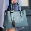 Bolsa de Novo Estilo com Ótima Textura e Grande Capacidade para Mulheres, Nova Moda 2026 Bolsa de Mão Simples para o Dia a Dia, Bolsa de Ombro e Transversal Elegante
