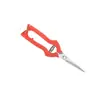 Tijeras de podar de acero inoxidable para jardinería casera, recolección de frutas, plantas en maceta, injertos, cosecha de frutas, uvas, caquis y plantas de pimiento