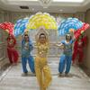 Abanico de Danza Abanico de Danza Alargado Par de Doble Cara Mano Izquierda y Derecha Abanico de Flor de Peonía para Actuación Abanico de Danza Cuadrada Yangko de Jiaozhou