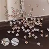 Arte de Uñas Estrella Brillante Circonita Estrella de Cinco Puntas Pedrería Champagne Plata Mezclado Mini Irregular Fondo Plano Decoraciones para Uñas