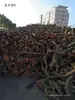 Leña Shenzhen Guangdong Dongguan Madera Seca de Lichi Leña de Lichi Madera Mixta Leña para Caldera Leña de Lichi Maitai Bao