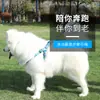 Coleira para animal de estimação corrente de cachorro corda para passear com cachorro nylon peitoral costas VIP urso de pelúcia lateral animal corda de cachorro