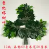 Flor Verde Jardim Monet Decoração Flores de Casamento Materiais Grama Aspargo Plantas Verdes Arranjo de Exibição Estilo Floresta Decoração de Casamento