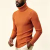 Suéter Masculino Gola Alta Trançado Amazon Pulôver Slim Fit Cardigã Camada Base Manga Longa Gola Alta Tricô Masculino