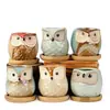 Dongheng Maceta de Animales Estilo Japonés y Coreano Maceta Mini Pulgar Adornos Set de Búho Cambio de Horno Maceta para Suculentas con Base