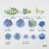 Kit de material para flor artificial de flor de seda tipo J para decoração de casa, kit de material para acessório de cabelo DIY com caixa de flores e flores, produto transfronteiriço mais vendido