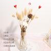 Ramo de flores secas de Yunnan con hojas de eucalipto inmortales, estilo nórdico, adornos decorativos para el hogar y la sala de estar, accesorios de tiro DIY.