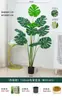 Planta Verde Monstera Bambu Simulação Nórdica Planta Grande Biónica em Vaso Planta Falsa Decoração de Sala de Estar Interna Ornamento de Chão Árvore