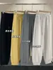 ¡Un par para el invierno! Pantalones gruesos de forro polar de coral, 750 g, con puños elásticos, pierna ancha, casual, joggers, versátiles, nuevos 2026