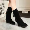 Nuevas Botas Casuales de Tacón Alto con Plataforma Interior de Agua de Caña Media con Borlas Botas de Algodón Tallas Grandes 40-43 Botas de Comercio Exterior