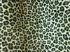 Fábrica em estoque 12 Ann Bolsa de Lona Estampa de Leopardo Sapatos Bolsa de Lona Tecido