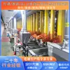 Linha de Produção de Galvanoplastia Inteligente de Alta Eficiência e Ecológica Linha de Produção de Equipamentos de Galvanoplastia Totalmente Automática Linha de Galvanização Niquelagem com Elevador