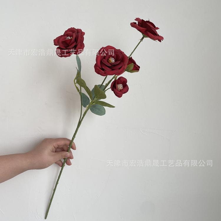 微信图片_202204111604486_副本