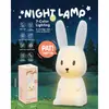 Luz de noite best-seller transfronteiriça, luminária de cabeceira para quarto, lâmpada de silicone que acende ao toque, temporizador, presente de aniversário para crianças atacado