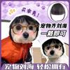 Flequillos Falsos, Cabello Realista Engrosado, Accesorios para Mascotas, Divertidos y Lindos, Estilo Tiktok y Xiaohongshu, Flequillos para Perros y Gatos