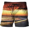 2023 Calções de Praia Transfronteiriços Costeiro Coqueiro Verão Amazon Tendência Casual Reto Estampado Calções Masculinos