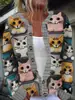 2025 Inverno Transfronteiriço Novo Modelo Aliexpress Cardigan com Estampa Digital 3D Jaqueta de Tricô Suéter Falso Roupa Feminina 2024 Ásia