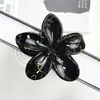 Novo Conjunto de Outono e Inverno Cruzado com Plumeria Escovada Presilha de Cabelo Bauhinia Estilo Festivo Elegante Presilha de Tubarão Acessórios de Cabelo Presilha de Cabelo