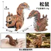Juguetes Cognitivos de Ciencia y Educación para Niños Modelo de Animal de Simulación Transfronterizo Ardilla Escena de Micro Paisaje Adornos para Tarta de Cumpleaños