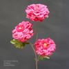 Arreglo de Flores Artificiales Rojo Rosa para Boda Cubo Abrazo Material de Flor Material de Flor Fila de Flores de Mesita de Noche Material de Flor Boda Flor de Seda Artificial Ventana