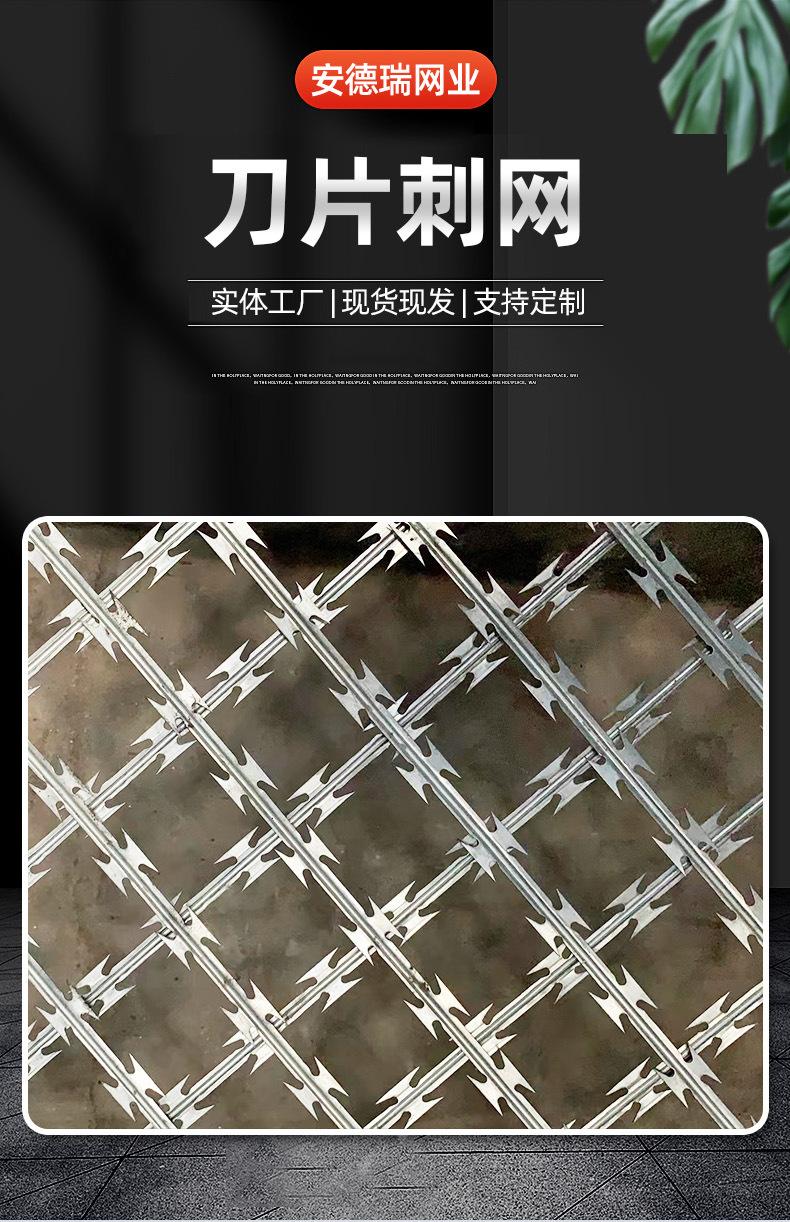 详情页_01.jpg