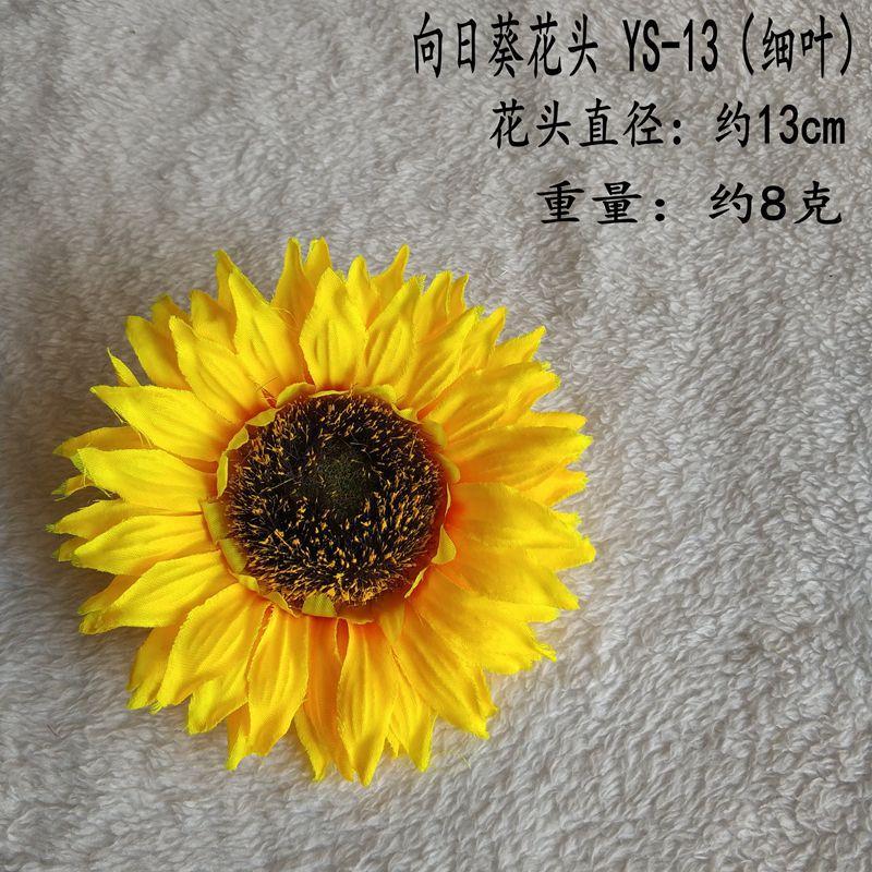 YS-13(细叶）_副本