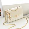 Bolso de Mujer 2024 Nueva Llegada Trendy Ins Estilo Coreano Combinable Bolso Pequeño Bolso Bandolera de Cadena Cuadrado Pequeño