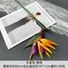 Pássaro do Paraíso Artificial Flor Artificial de Borracha Macia Grande Único Decoração de Casa Estilo Chinês Ornamento Adereço de Simulação para Fotografia de Casamento